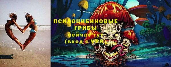 экстази Гвардейск