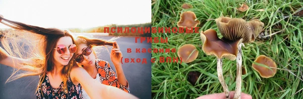 прущие крисы Надым