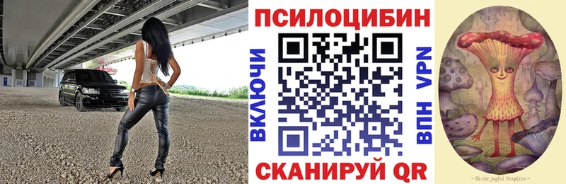 Галлюциногенные грибы мицелий  Купить закладки  Дубовка 
